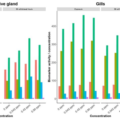 Biomarkers Estimated Levels In The Digestive Gland And In The Gills Download Scientific Diagram