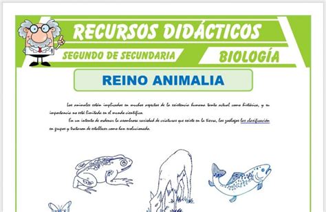 El Reino Animalia Para Segundo De Secundaria Recursos Didácticos