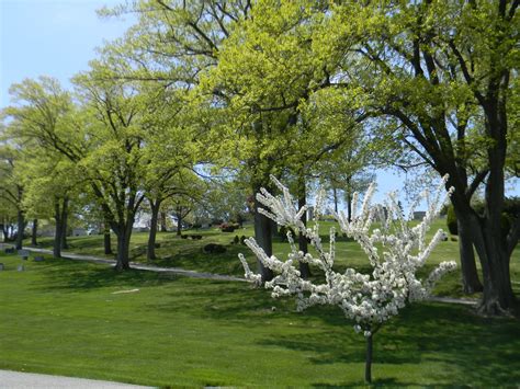 Kensico Cemetery - Home - Kensico Cemetery