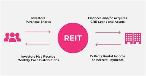 Real Estate Investment Trusts Reits A Beginners Guide Vitto Store