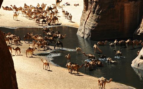 Oasis In The Sahara Desert [1920 × 1200] : wallpaper