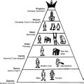 Homo Sapiens Taxonomic Classification : Homo Sapiens - Scientific Term ...