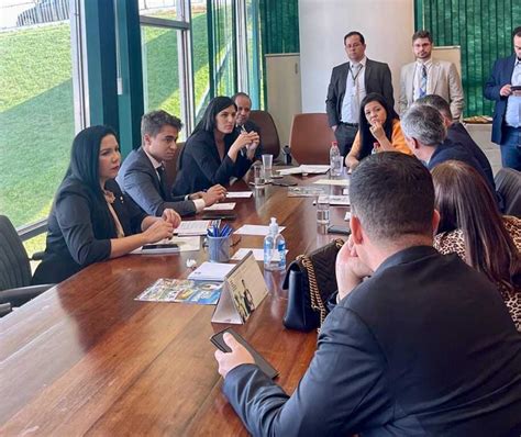 Deputada Cristiane Lopes E Bancada Pr Vida Unem For As Contra