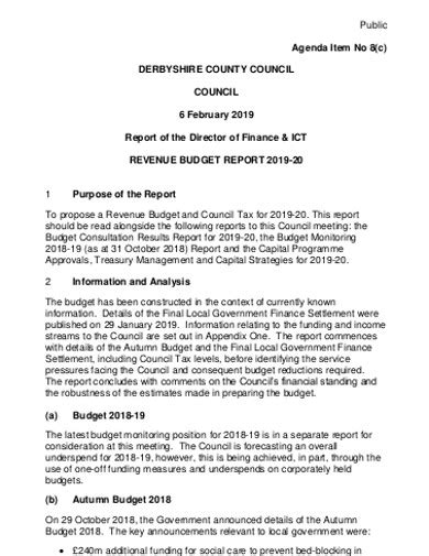 Budget Report - 18+ Examples, Format, Pdf