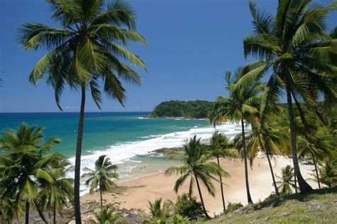 Excursión a Itacaré desde Ilhéus Reserva en Civitatis