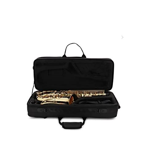 Alto Saxophone Buffet Crampon Prodige