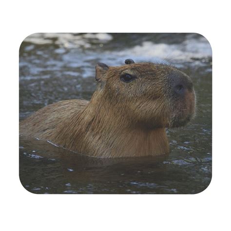 Capybara Mouse Pad Etsy