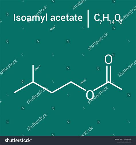 Isopentyl Acetate Structure