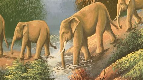 Schwarzer BBC Fickt Cheerleaderin Free Porn B3 XHamster