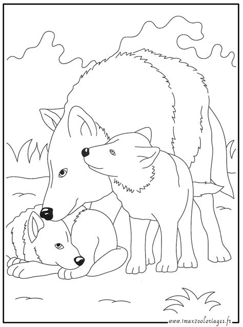 Coloriages Animaux Du Monde Les Loups