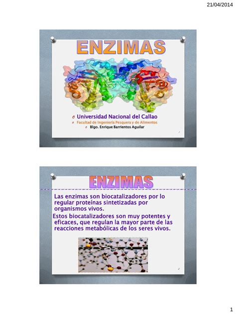 PDF Cap 6 Enzimas DOKUMEN TIPS