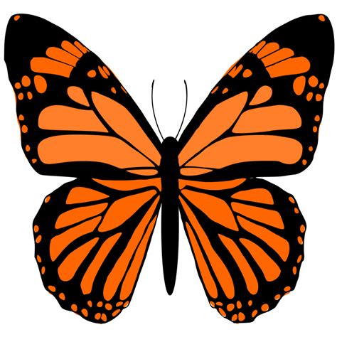 Monarch Butterfly Design 24134725 Png