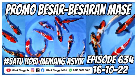 Promo Besar Besaran Beli Satu Paket Dapat Ikan Koi Elegen Buruan