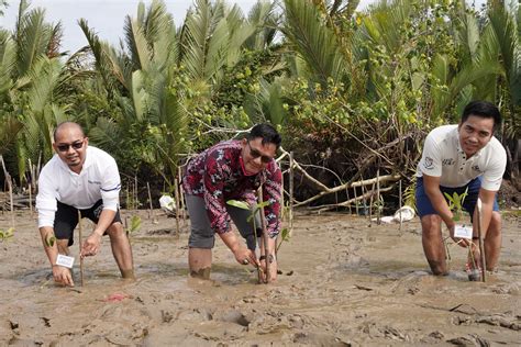 Peringati Hari Mangrove Sedunia IPC TPK Tanam Mangrove Di Palembang