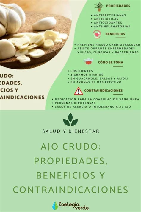 Ajo Crudo Propiedades Beneficios Y Contraindicaciones Gu A Completa