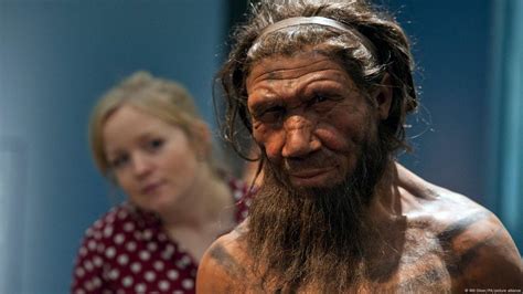 The Small Cave Life Of A Neanderthal Community Dw 10 19 2022