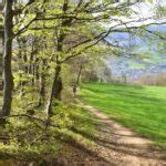 Wanderung Holderbank So Tiefmatt Roggenflue Roggen Kluser Grat