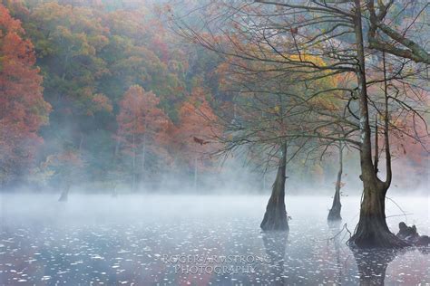 Roger Armstrong Photography: Fall Color @ Beavers Bend