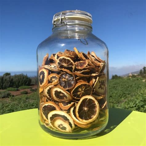 Dehydrated Lemons For Cocktail 40 G VidaViva Ecofood