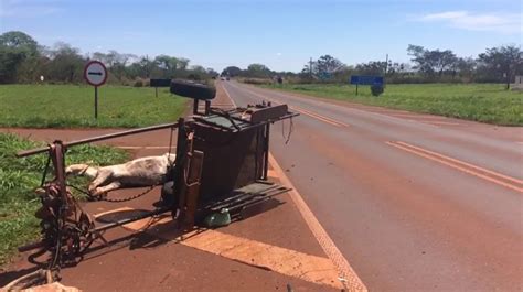 Acidente Entre Carro E Carro A Deixa Idoso Gravemente Ferido E Mata