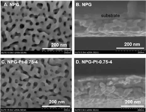 Scanning electron micrographs of the (A), (C) top surface (B), (D ... 