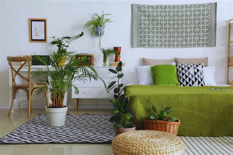 Transforming Your Room Into A Cozy Haven With Plants And Lighting