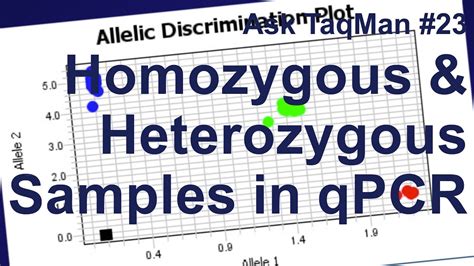 Homozygous Heterozygous Punnett Square