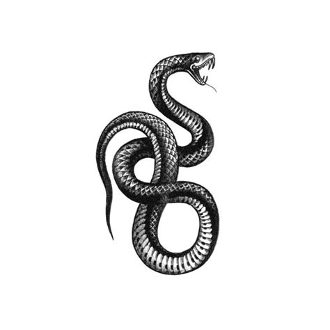 Blackwork Serpent Tattoo | Serpent tattoo, Blackwork tattoo, Snake tattoo