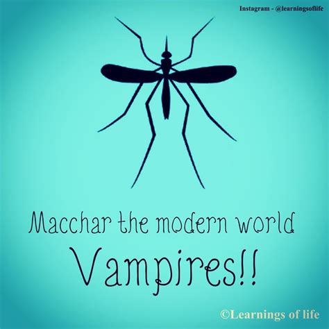 Mosquitoes The Modern World Vampires Vampire Mosquito Macchar