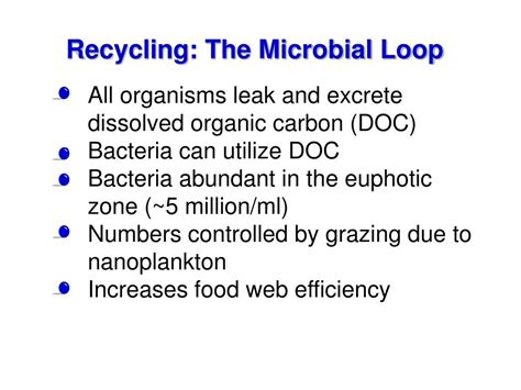 Ppt Energy Flow And Nutrient Cycle Powerpoint Presentation Free Download Id 2910086