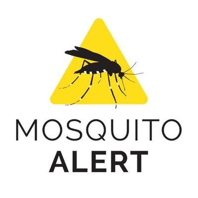 Mosquito Alert On Twitter Por Qu Siempre Me Pican Los Mosquitos La