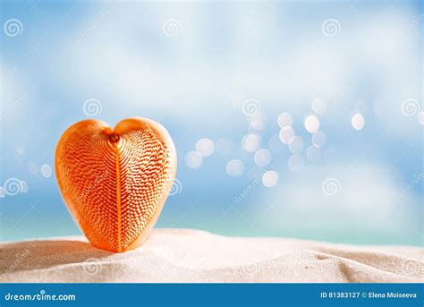 Red Heart Sea Shell With Ocean Beach And Seascape Stock Image Image