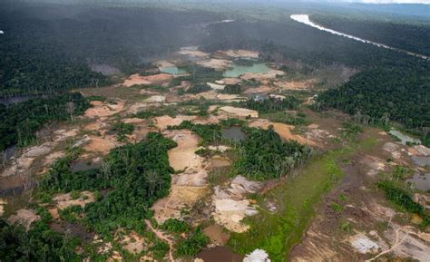 Liberar mineração em floresta protegida na Amazônia aumentará ainda