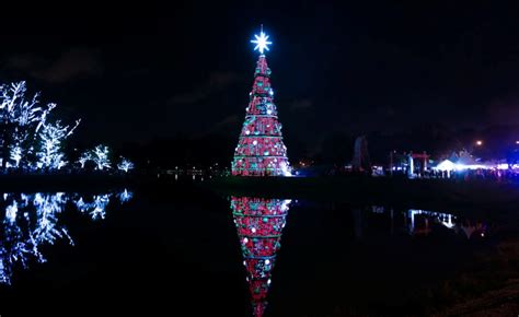 Árvore de Natal no Ibirapuera encanta as noites de São Paulo