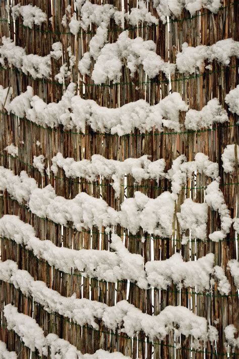 Kostenlose Bild Schnee Zaun Winter Kälte Frost