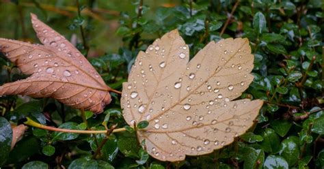 Meteorolozi Otkrili Ovako Vrijeme Do 17 Novembra A Onda Dolazi Preokret