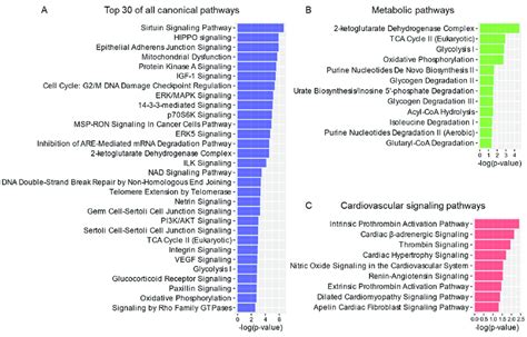 Protein−protein Interaction Network Of The Cardiac 14−3−3 Interactome