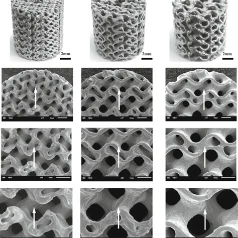 Pdf D Printed Ti Al V Scaffolds With Graded Triply Periodic Minimal