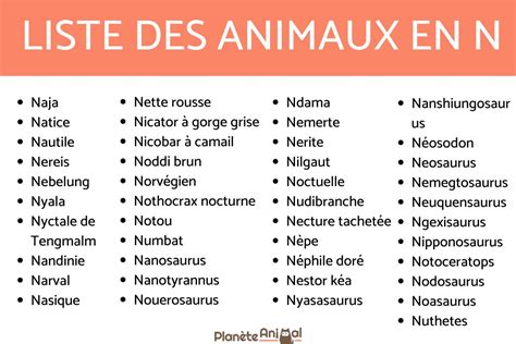 40 Animaux En N