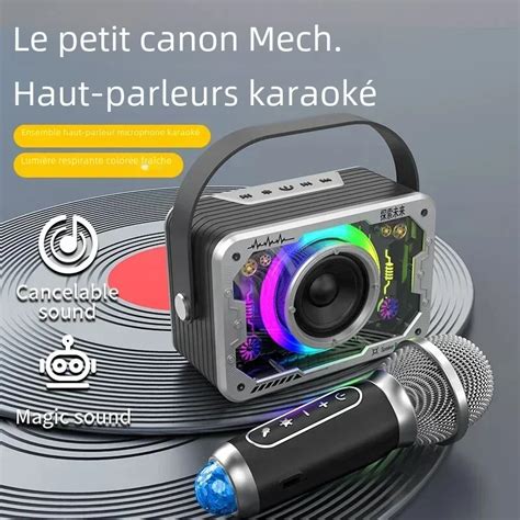 Haut Parleur Karaok Sans Fil Pour F Te En Plein Air Avec Microphone