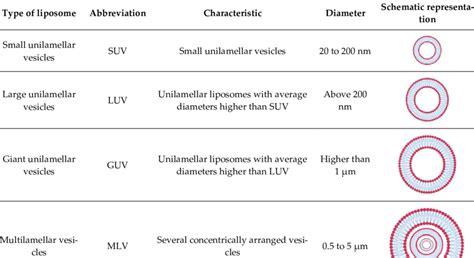 Classification Of Liposomes Based On Size And Lamellarity Download Scientific Diagram