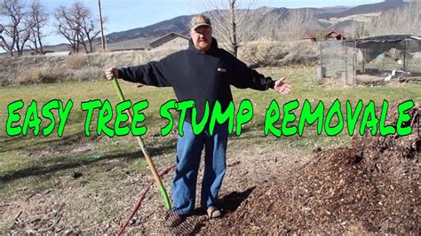 How To Get Rid Of A Tree Stump Naturally Youtube