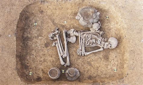 Gay Caveman 5 000 Year Old Male Skeleton Outed By Way He Was Buried Daily Mail Online