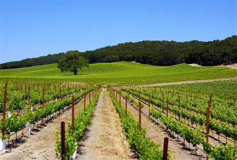 Visit Paso Robles Ca Drive The Nation