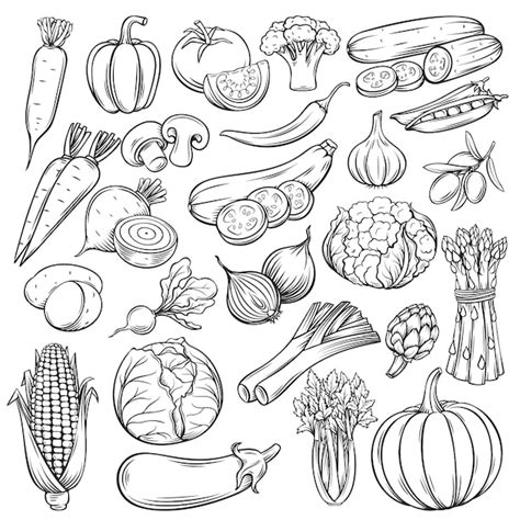 Conjunto De Iconos De Vegetales Dibujados A Mano Vector Premium