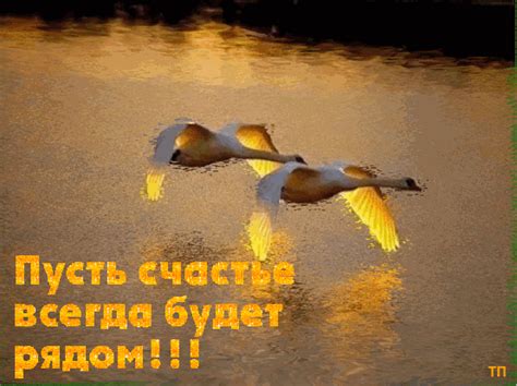 Анимированная открытка пусть счастье всегда будет рядом