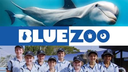 Watch Blue Zoo - Free TV Shows | Tubi