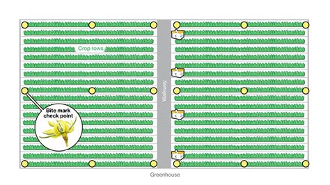 Optimal Placement of Bumblebee Hives - Pollination Best Practices