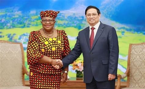 Le Premier ministre Pham Minh Chinh reçoit la directrice générale de l