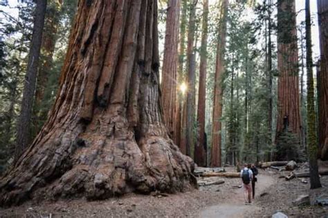 Where To Camp With Your RV in Sequoia National Park - Getaway Couple